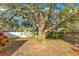 Expansive backyard featuring a mature tree offering ample shade and a partial fence line at 1002 Kelsey Ave, Oviedo, FL 32765