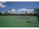 Outdoor tennis courts are surrounded by lush greenery, providing a scenic and active lifestyle at 10176 Hart Branch Cir, Orlando, FL 32832