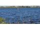 Scenic lake view with a floating dock, showcasing the community's natural beauty and recreational opportunities at 15149 Canoe Pl, Winter Garden, FL 34787
