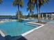 Resort-style pool featuring beautiful lake views and poolside seating areas under towering palm trees at 15149 Canoe Pl, Winter Garden, FL 34787