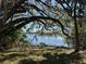 Waterfront view surrounded by trees, plants, and wooden posts in the water at 1933 Bayview Dr, New Smyrna Beach, FL 32168