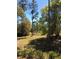 Landscaped backyard with mature trees for shade and privacy at 2301 Avellino Ave, St Cloud, FL 34771