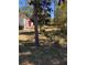Exterior shot of the grassy backyard of a residential home with trees at 2301 Avellino Ave, St Cloud, FL 34771