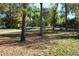 A serene view of a tree-lined street, mature trees, and landscaping with home in the distance at 308 Tangerine St, Altamonte Springs, FL 32701
