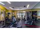 Well-equipped community gym featuring modern weight machines, exercise balls, and mirrors at 7455 Sparkling Lake Rd, Orlando, FL 32819