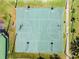 Overhead view of outdoor basketball court featuring multiple hoops and well-maintained green surface at 13722 Fox Glove St, Winter Garden, FL 34787