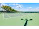 Outdoor tennis courts with green fencing and a tall lightpost at 13722 Fox Glove St, Winter Garden, FL 34787