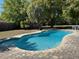 Sparkling pool with brick paver patio, surrounded by lush green trees, perfect for outdoor relaxation at 1500 Markham Woods Rd, Longwood, FL 32779