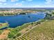 Picturesque aerial shot of a lake surrounded by lush greenery and neatly arranged rows of trees, showcasing natural beauty at 1579 Swan Lake Cir, Dundee, FL 33838