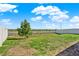 A spacious backyard with a well-maintained lawn and privacy fence at 1579 Swan Lake Cir, Dundee, FL 33838