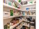 Walk-in pantry with custom shelving perfect for optimal organization at 25813 Feather Ridge Ln, Sorrento, FL 32776