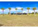Pickleball court and covered picnic area sits in a field of green grass and bordered by stately palms at 9210 Sw 60Th Court Rd, Ocala, FL 34476