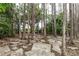 Backyard woods with concrete slabs on ground and tall trees overhead on an overcast day at 19261 Quarterly Pkwy, Orlando, FL 32833