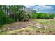 A view of the wood bridge that crosses a creek, surrounded by trees and grass at 19261 Quarterly Pkwy, Orlando, FL 32833