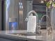 Kitchen sink with sleek faucet, paper towel holder, and filtered water dispenser at 3637 Chandler Estates Dr, Apopka, FL 32712