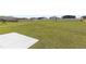 Spacious backyard featuring a large grassy area and a white fence, providing ample space for outdoor activities at 4718 Magnetite Loop, Mount Dora, FL 32757