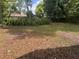 Leaf-covered backyard offering a private outdoor space, surrounded by lush greenery at 625 Citrus St, Orlando, FL 32805