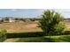 Backyard with mature tree and view of neighborhood at 9870 Summerlake Groves St, Winter Garden, FL 34787