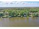 Stunning aerial view of waterfront homes with private docks, surrounded by trees and serene lake at 9900 W Lake Marion Rd, Haines City, FL 33844