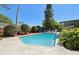 Backyard pool with deck and chairs and well manicured landscaping and palm trees at 5441 Justine Way, Winter Park, FL 32792
