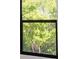 Outside view from window featuring lush greenery at 3397 Tranquil Trl, Kissimmee, FL 34747