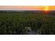 Lake house with a dock in the middle of a wooded area at sunset at 11450 Nellie Oaks Bnd, Clermont, FL 34711