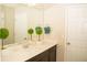 Bathroom featuring a vanity with a white countertop, decorative plants, and a large mirror at 2260 Rapollo Dr, Kissimmee, FL 34741