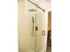 Modern shower featuring a rainfall showerhead, handheld sprayer, and sleek glass enclosure with dark hardware at 2260 Rapollo Dr, Kissimmee, FL 34741