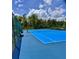 View of blue pickleball court with black net surrounded by tall green fence at 3024 Meleto Blvd, New Smyrna Beach, FL 32168