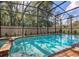 Gorgeous screened pool with view of the backyard at 8892 Bengal Ct, Kissimmee, FL 34747