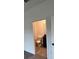 Modern bathroom featuring a toilet, cabinet, and hardwood floors at 3296 Tranquil Trl, Kissimmee, FL 34747