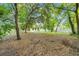 Large backyard featuring mature trees offering shade and privacy at 304 Woods Landing Dr, Lady Lake, FL 32159