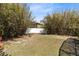 Spacious backyard with bamboo and green grass at 3469 Foxton Ct, Oviedo, FL 32765