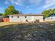 Expansive backyard perfect for outdoor activities, featuring grass, privacy fence and mature trees at 800 Marion Dr, Mount Dora, FL 32757