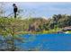 Close up of a heron perched above the lake, with a glimpse of a home in the background at 487 Oak Haven Dr # 487, Altamonte Springs, FL 32701