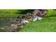 A view of a flock of white ibis wading in a body of water and enjoying the lakefront at 487 Oak Haven Dr # 487, Altamonte Springs, FL 32701