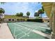 Outdoor shuffleboard courts featuring multiple lanes for hours of leisurely fun at 1329 Paradise Dr, Lady Lake, FL 32159