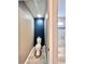 Modern half-bathroom boasting a blue accent wall and a pristine shower with glass door in the background at 14533 Orchid Island Dr, Orlando, FL 32827