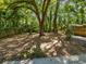 Large backyard featuring lush greenery, mature trees at 341 Kirkcaldy Dr, Winter Springs, FL 32708