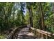 Scenic wooden boardwalk through a lush green forest with tall trees at 515 Columbus Ave, Orange City, FL 32763