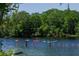 People kayaking on the river lined with trees and lush vegetation at 515 Columbus Ave, Orange City, FL 32763