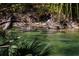 A group of manatees swims in the river with clear water and lush vegetation at 515 Columbus Ave, Orange City, FL 32763