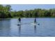 Two paddleboarding on the river with trees and lush vegetation in the background at 515 Columbus Ave, Orange City, FL 32763
