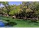 Scenic view of the river with clear water and lush vegetation at 515 Columbus Ave, Orange City, FL 32763