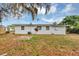 Backyard view showcasing a white house exterior surrounded by grass, trees, and sky at 6312 Appian Way, Orlando, FL 32807