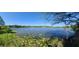 Scenic lake view featuring lily pads, clear blue water, and a lush green treeline against a vibrant sky at 858 Lake Marion Dr, Altamonte Springs, FL 32701