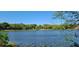Beautiful lake view surrounded by mature trees and lush landscaping at 858 Lake Marion Dr, Altamonte Springs, FL 32701