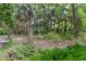 Overgrown backyard with bird bath, bench, and a natural setting at 1417 Olympia Ave, Mount Dora, FL 32757