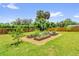 Well-maintained backyard featuring a charming raised garden bed with a fresh wood fence surround at 1558 Regal Oak Dr, Kissimmee, FL 34744