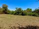 Expansive backyard, partially shaded, offering a great potential for landscaping at 2431 Lackland Dr, Deltona, FL 32738